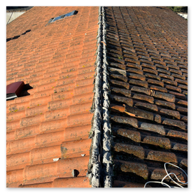 Entreprise Petit - Couvreur Tonnay-Charente 17